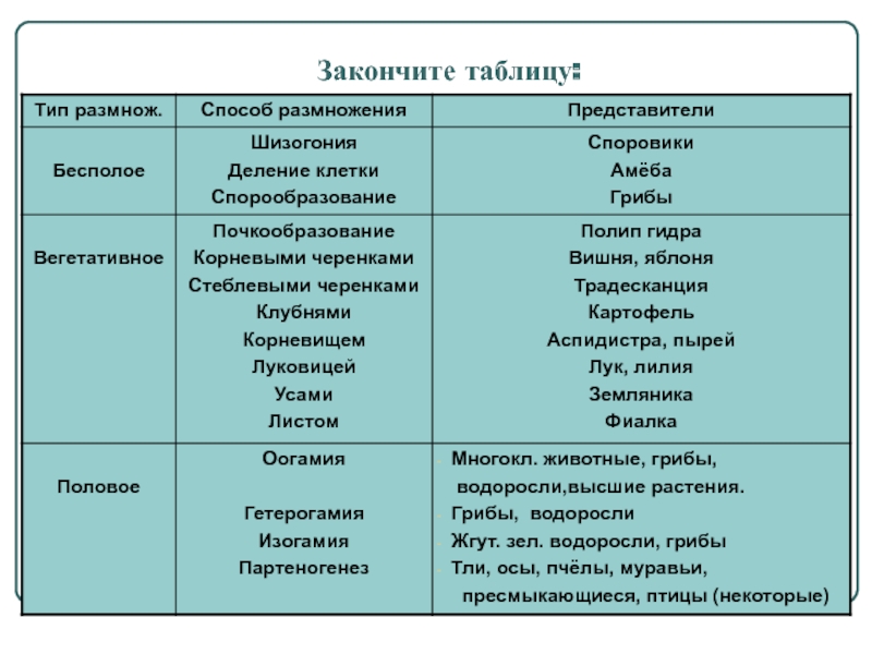 Kraken сайт kraken torion